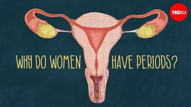 Why do women have periods? Why do women have periods?