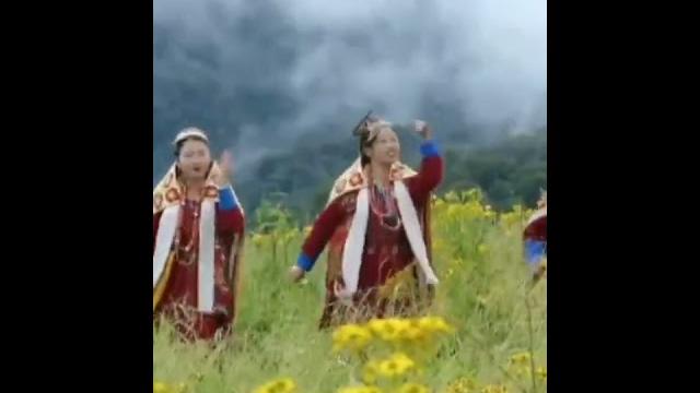Amazing monpa video short || monpa #monpasong #stsonglover #monpavideo #shorts #youtubeshorts #monpa Amazing monpa video short || monpa #monpasong #stsonglover #monpavideo #shorts #youtubeshorts #monpa