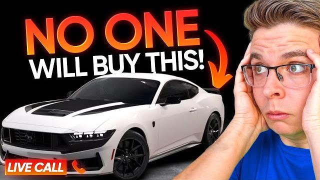 Wild negotiation for a mustang dark horse!!! Wild negotiation for a mustang dark horse!!!