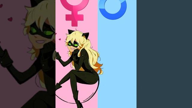 Miraculous hero's gender swap // #miraculous #shorts #viral #tiktok #trending #youtubeshorts Miraculous hero's gender swap // #miraculous #shorts #viral #tiktok #trending #youtubeshorts