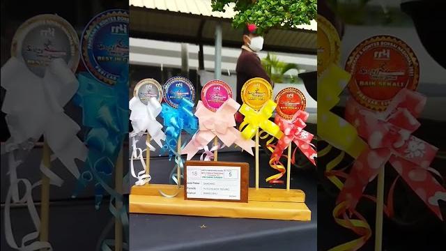 Bonsai sancang/pancali || sang juara 1 di kelas bintang pamnas di surabaya #bonsaiindonesia #shorts Bonsai sancang/pancali || sang juara 1 di kelas bintang pamnas di surabaya #bonsaiindonesia #shorts