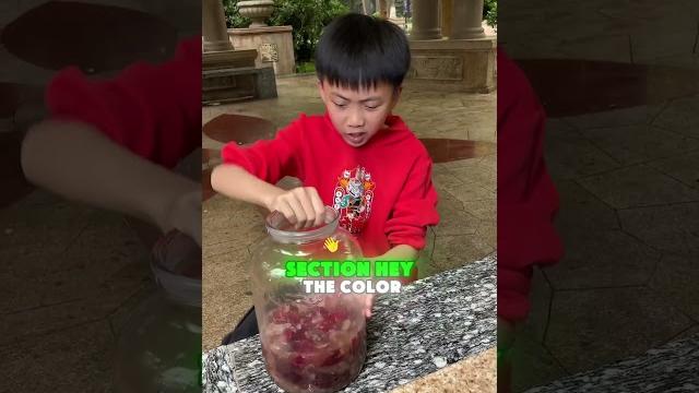 The red wine made by langlang actually tastes like cola#funny The red wine made by langlang actually tastes like cola#funny