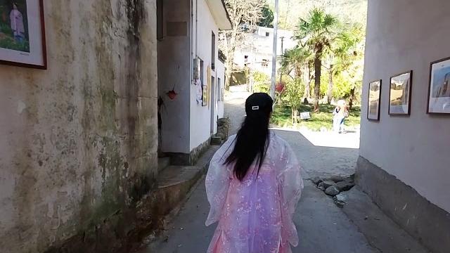 安徽绩溪县黄土坎村银杏,叶未黄已落地,10公里外土菜馆味道好 安徽绩溪县黄土坎村银杏,叶未黄已落地,10公里外土菜馆味道好