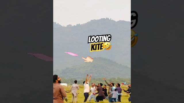 Looting kites ‘catching kites #kitecatching #kiteflying #kiteground #caughtkite #kites #love Looting kites ‘catching kites #kitecatching #kiteflying #kiteground #caughtkite #kites #love