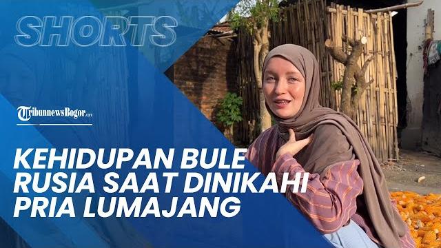 Kehidupan bule asal rusia berubah saat dinikahi pria lumajang, tak gengsi urus hewan ternak Kehidupan bule asal rusia berubah saat dinikahi pria lumajang, tak gengsi urus hewan ternak