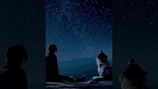 Alpha: wolf taming & starry bonding! Alpha: wolf taming & starry bonding!