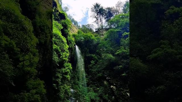 Hidden waterfall in himachal | chhoie falls, tirthan valley #viralshorts #travel #trending #viral Hidden waterfall in himachal | chhoie falls, tirthan valley #viralshorts #travel #trending #viral