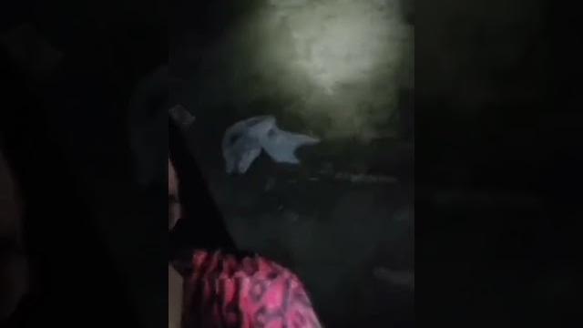 Masih bocor aja ya. blunder live misteri tiktok Masih bocor aja ya. blunder live misteri tiktok