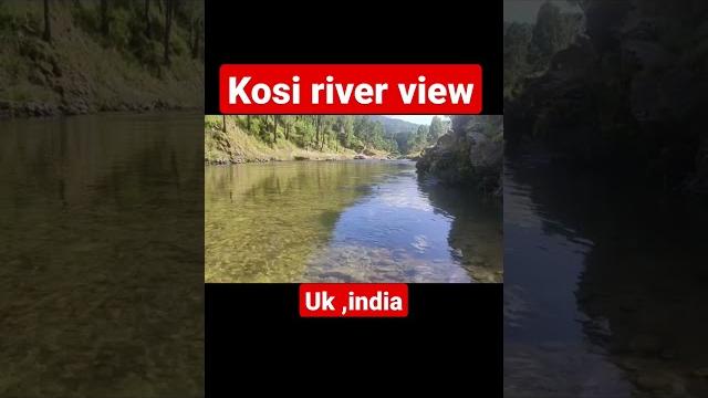 Kosi river#short #shorts #trending #viral #ytshorts #viralshorts #tiktok #video #new #trend #yt #1k Kosi river#short #shorts #trending #viral #ytshorts #viralshorts #tiktok #video #new #trend #yt #1k