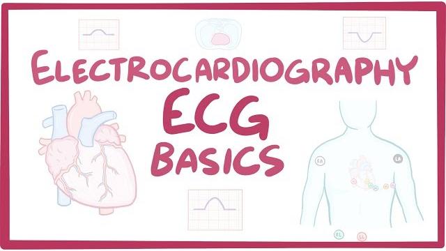 Electrocardiography (ecg/ekg) - basics Electrocardiography (ecg/ekg) - basics
