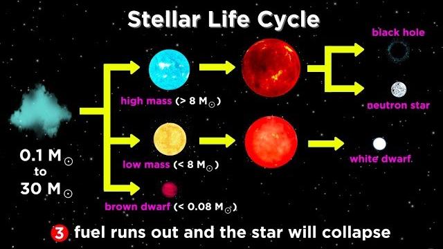 The life and death of stars: white dwarfs, supernovae, neutron stars, and black holes The life and death of stars: white dwarfs, supernovae, neutron stars, and black holes