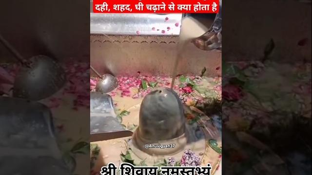ये 5 चीजे शिवलिंग पर चढ़ाने से घर मे कभी सुख समृद्धि की कमी नही होगी #viral #shorts #mahadev #shiv ये 5 चीजे शिवलिंग पर चढ़ाने से घर मे कभी सुख समृद्धि की कमी नही होगी #viral #shorts #mahadev #shiv