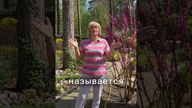 Самый быстрый способ избавиться от муравьев! Самый быстрый способ избавиться от муравьев!