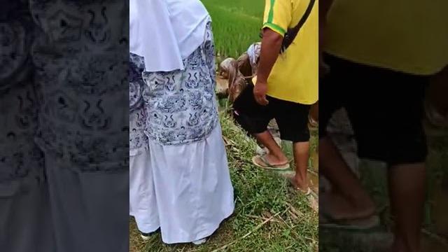 Kejebur #shorts Kejebur #shorts