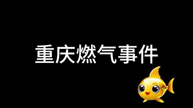 【时事财经】重庆“燃气门”真相浮出水面||公众认知阶层分化明显。 【时事财经】重庆“燃气门”真相浮出水面||公众认知阶层分化明显。
