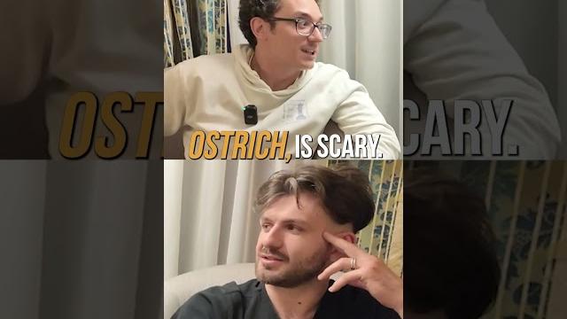 Man + 3 cats vs ostrich Man + 3 cats vs ostrich