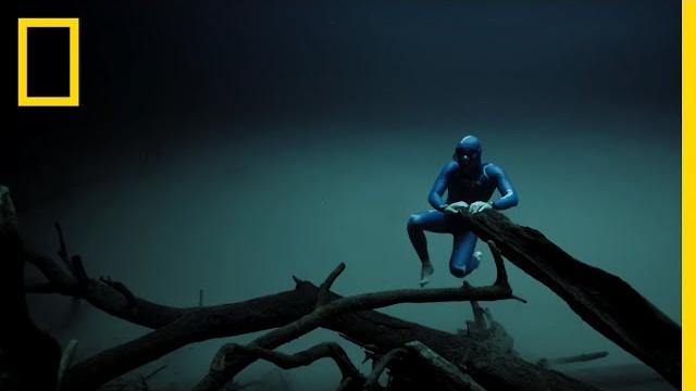 Experience the underwater world through the eyes of a free diver | short film showcase Experience the underwater world through the eyes of a free diver | short film showcase