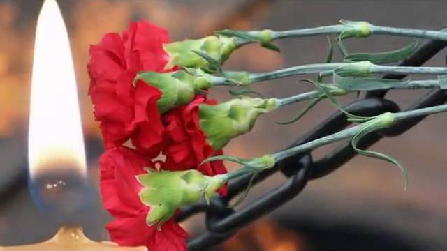 Галина давыдова я помню и горжусь Галина давыдова я помню и горжусь