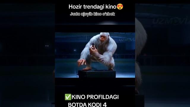 Kino kodi 4 Kino kodi 4
