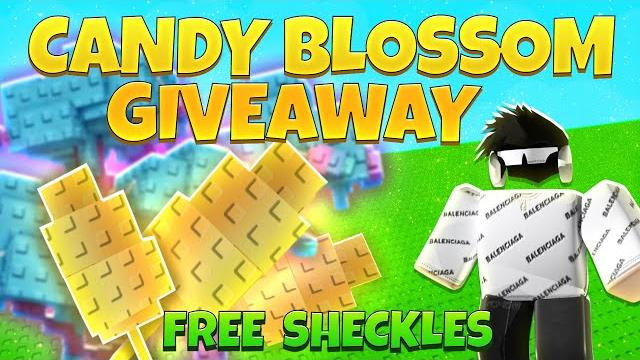 Live | grow a garden | candy blossom giveaway !! | 250b sheckles !! | raccoon giveaway !! Live | grow a garden | candy blossom giveaway !! | 250b sheckles !! | raccoon giveaway !!