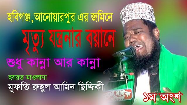 মৃত্যুর যন্ত্রনা । মূফতি রুহুল আমিন ছিদ্দিকী । ruhul amin siddiqui waz । ১ম অংশ । the pain of death মৃত্যুর যন্ত্রনা । মূফতি রুহুল আমিন ছিদ্দিকী । ruhul amin siddiqui waz । ১ম অংশ । the pain of death