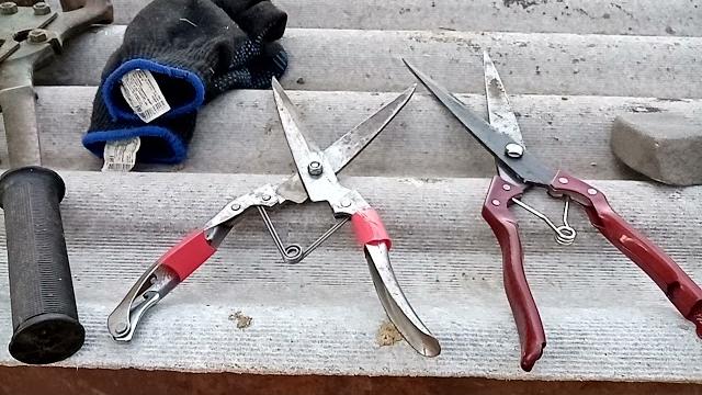 Эдильбаевские овцы,, (стрижка,) Эдильбаевские овцы,, (стрижка,)