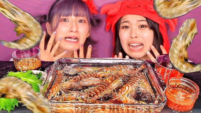 【モッパン】生きてるエビを食べる/ おさきちゃんコラボ 【モッパン】生きてるエビを食べる/ おさきちゃんコラボ