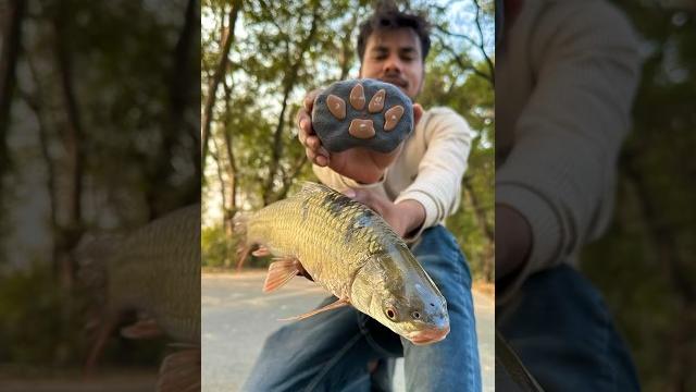 Remote control fish unboxing and testing #rcfish Remote control fish unboxing and testing #rcfish