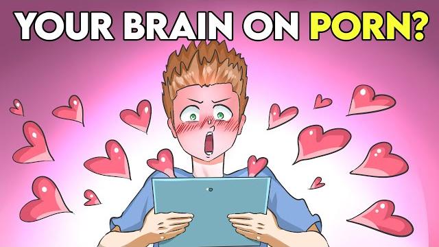 The effects of pornography on your brain The effects of pornography on your brain