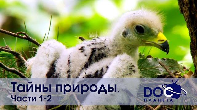 Тайны природы. все части - документальный фильм Тайны природы. все части - документальный фильм