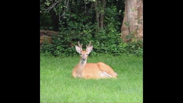 Free joji type beat "dirt" Free joji type beat "dirt"