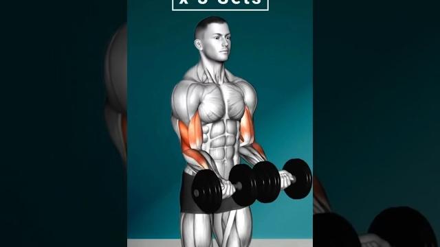 Gantel tugri kutarish serlari urganamiz #viralvideo #reels #workout #fitnessreels #short Gantel tugri kutarish serlari urganamiz #viralvideo #reels #workout #fitnessreels #short