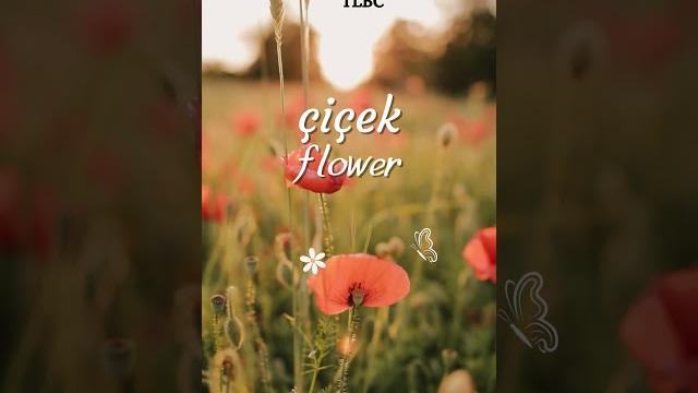 Ilkbahar spring #short #letslearnturkish #vocabulary #spring #flower #tlbc #dianakbas #ilkbahar Ilkbahar spring #short #letslearnturkish #vocabulary #spring #flower #tlbc #dianakbas #ilkbahar