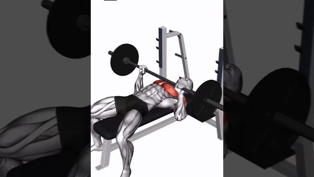 Gavda va triceps ishalsh usuli shtangada #shorts Gavda va triceps ishalsh usuli shtangada #shorts