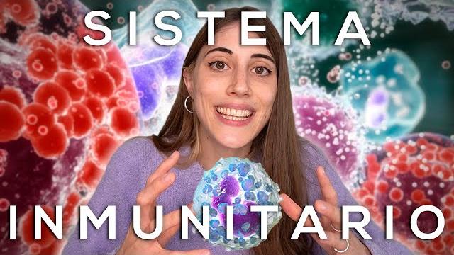 Así funciona tu sistema inmunitario: ¿cómo actúan las defensas? Así funciona tu sistema inmunitario: ¿cómo actúan las defensas?