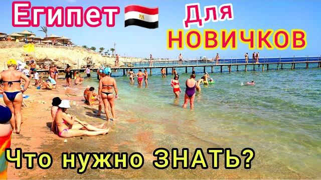 Впервые в египте что нужно знать неопытному туристу. секреты шикарного отдыха и советы новичкам Впервые в египте что нужно знать неопытному туристу. секреты шикарного отдыха и советы новичкам