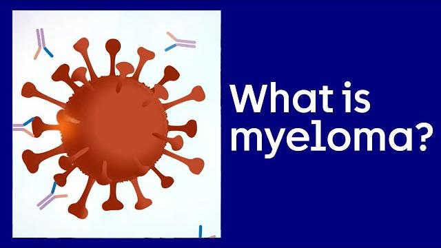 What is myeloma? | cancer research uk 2021 What is myeloma? | cancer research uk 2021