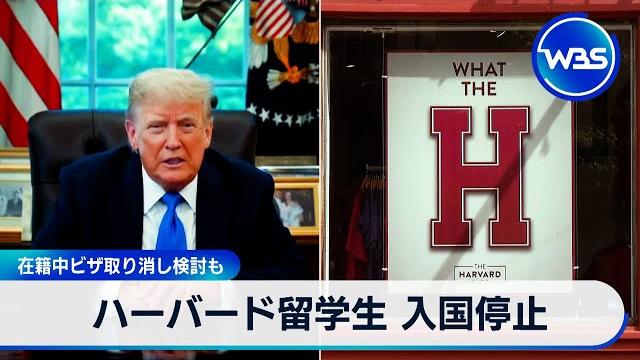 ハーバード留学生 入国停止 在籍中ビザ取り消し検討も【wbs】 ハーバード留学生 入国停止 在籍中ビザ取り消し検討も【wbs】