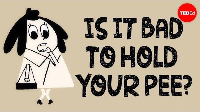 Is it bad to hold your pee? - heba shaheed Is it bad to hold your pee? - heba shaheed