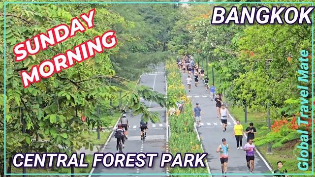 Central forest park bangkok - best sports park in thailand - green mile closed benjakitti Central forest park bangkok - best sports park in thailand - green mile closed benjakitti