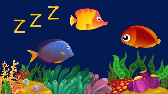 Bedtime lullabies and calming undersea animation: baby lullaby Bedtime lullabies and calming undersea animation: baby lullaby