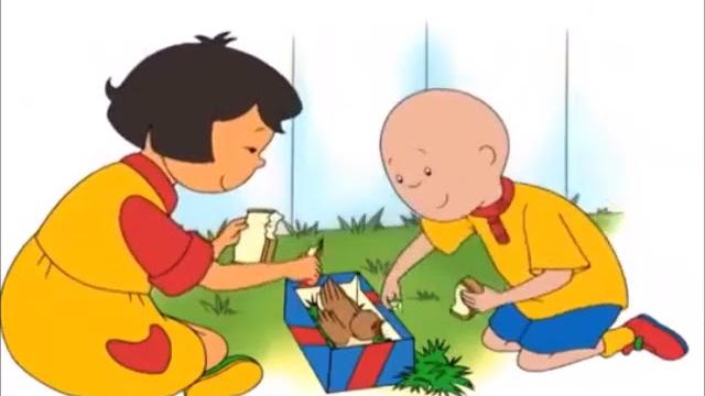 Caillou - the little bird (reversed!) Caillou - the little bird (reversed!)
