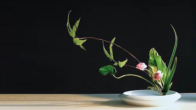插花藝術 跟倪誌翔老師學插花 4 ni zhixiang ikebana 插花藝術 跟倪誌翔老師學插花 4 ni zhixiang ikebana