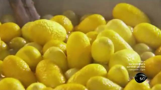 How it's actually made - silk How it's actually made - silk