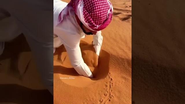 This man is searching for a sandfish!#shorts This man is searching for a sandfish!#shorts