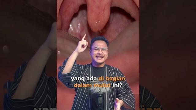 Apa sih guna nya organ tubuh ini ? Apa sih guna nya organ tubuh ini ?