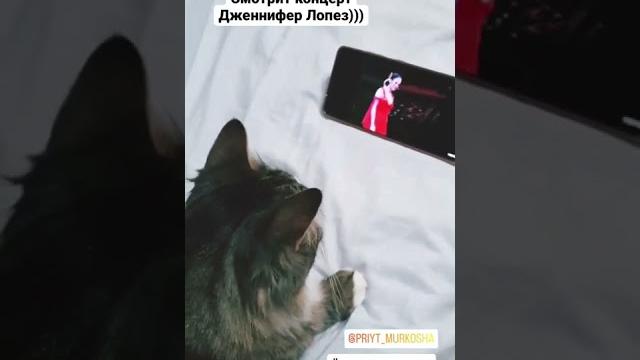 Лайм дома Лайм дома