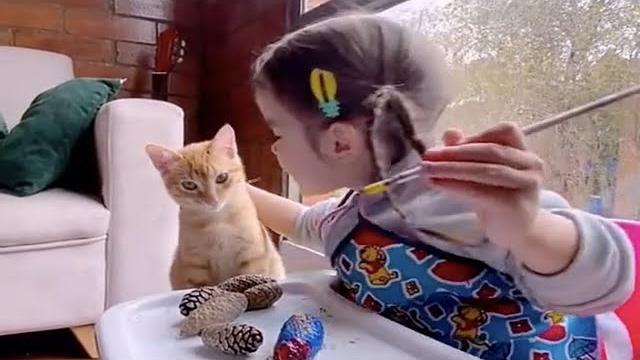 Makes adorable! orange is so spoiled that he meows and doesn't want to be left behind/compilation Makes adorable! orange is so spoiled that he meows and doesn't want to be left behind/compilation