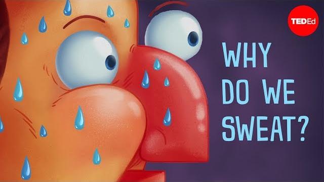 Why do we sweat? - john murnan Why do we sweat? - john murnan