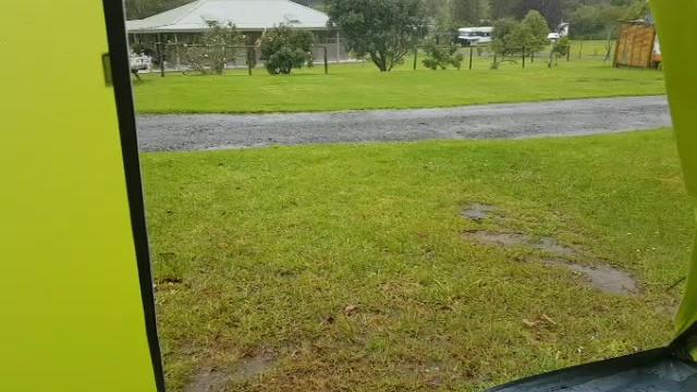 Katikati naturist camp november 2016 Katikati naturist camp november 2016